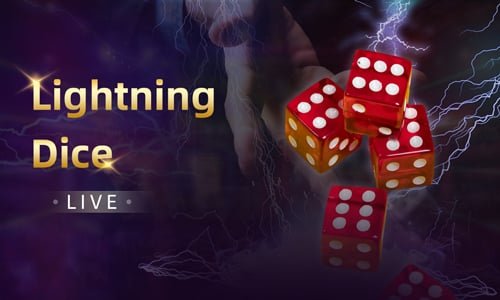 Người chơi Bingo trực tuyến trên điện thoại tại Việt Nam